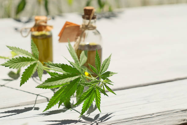istock Hemp oil in small bottles on a white wooden surface 967917590