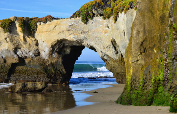 istock Santa Cruz, California 967922208