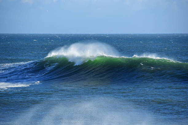 Powerful surf barrelling on the east coast of New Zealand, a close up study of the type of breaker surfers love to find.