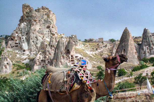 handmade traditional carpets in a textile manifacturing in Turkey