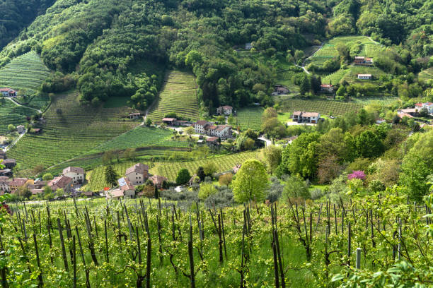 istock Valdobbiadene Hills,2 967926180