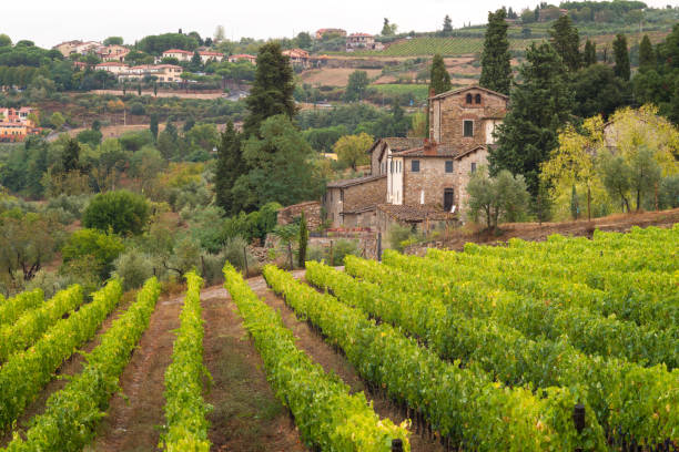 istock Panzzno, Tuscany, Italy 967926544