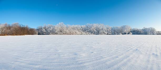 istock Winter landscape. White hoarfrost on trees. 96792885