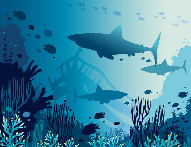 подводные коралловые рифы, рыбы, акулы и море. - shark animal blue cartoon stock illustrations