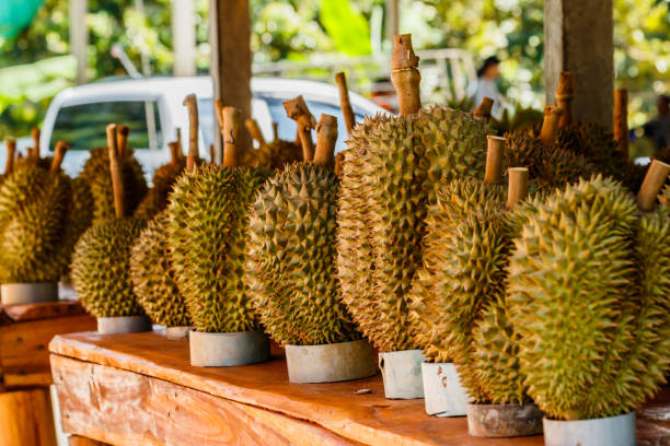 istock Tropic fruit durian on market table. 967931202