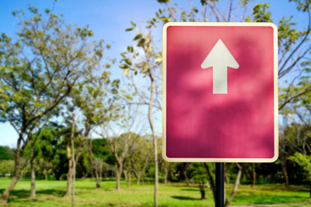 istock green grass field in big city park 967933890