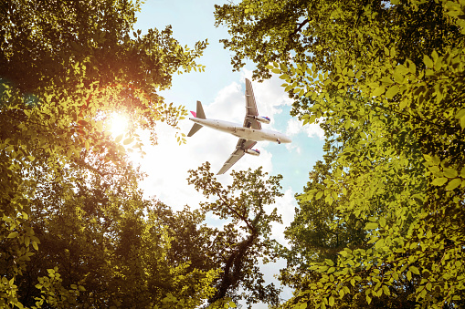 Composite image of airplane flying over trees