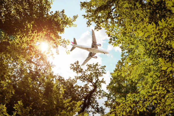 Airplane flying over trees stock photo
