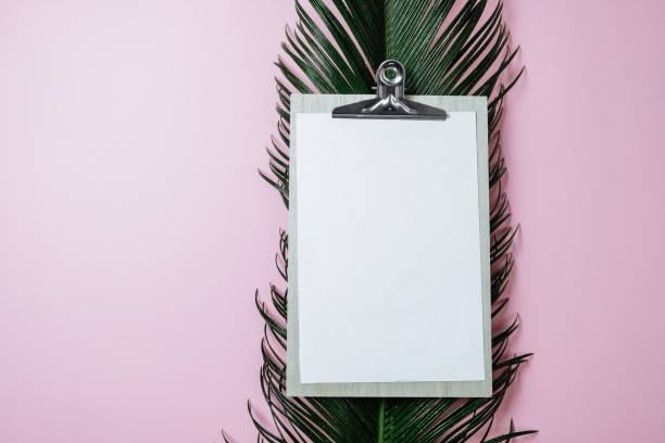 istock Minimal composition with clipboard and green palm leave on pink pastel background. Artwork mockup with copy space; flat lay