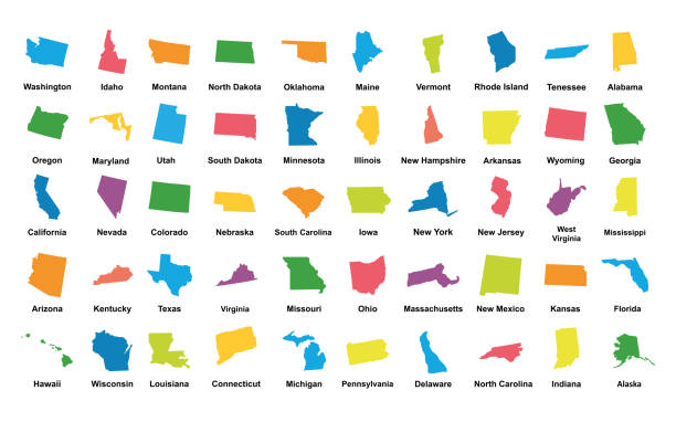 ilustrações, clipart, desenhos animados e ícones de estados unidos da américa. 50 estados. ilustração vetorial - map cartography washington dc tennessee