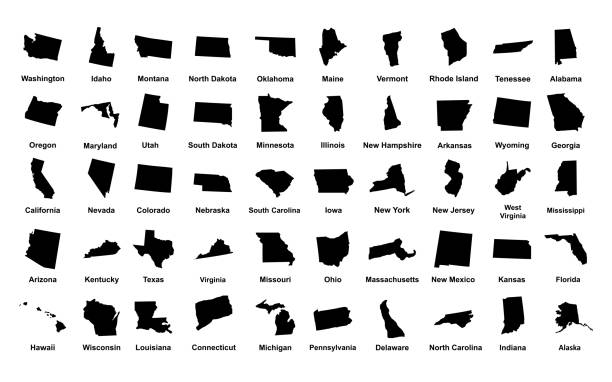 vereinigte staaten von amerika. 50 staaten. vektor-illustration - iowa map stock-grafiken, -clipart, -cartoons und -symbole