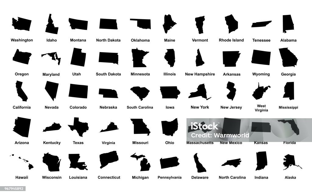 United States of America. 50 States. Vector illustration Map stock vector