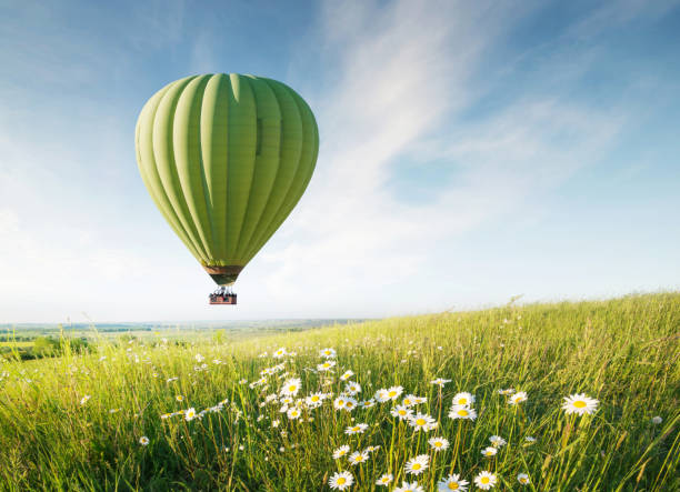 palla d'aria sopra il campo con fiori in estate. concetto e idea di avventura - mongolfiera foto e immagini stock