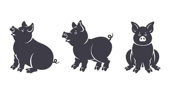 Set of black pigs silhouettes Set of black pigs silhouettes in various poses isolated on white background. Piglet characters sitting and standing for 2019 Chinese New Year. Vector illustration. fat humor black expressing positivity stock illustrations