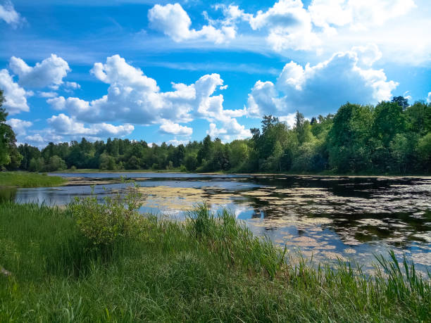 istock Beautiful landscape with pond, greenery and clouds on a Sunny day. 967961734