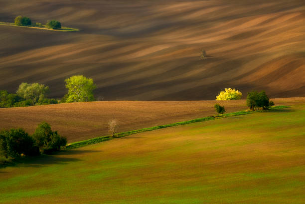 istock Rural landscape, Moravia, Czech Republic 967964120