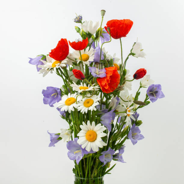 istock Wild flower posy over white background. 967966366