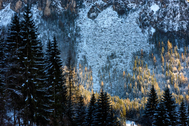 dolomiti bellunesi national park,3 - beauty in nature belluno clear sky color image imagens e fotografias de stock