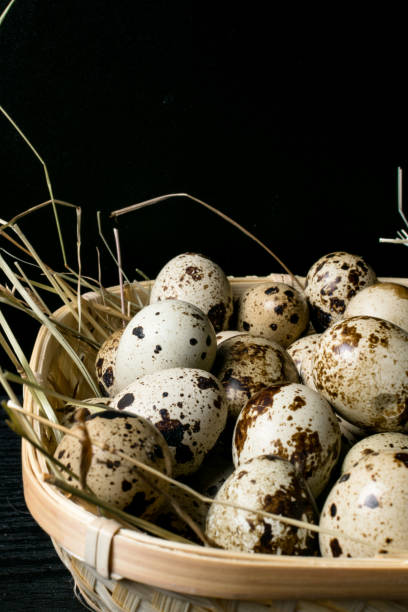 istock Quail eggs in a nest. Healthy food concept. Cholesterol source 967988110