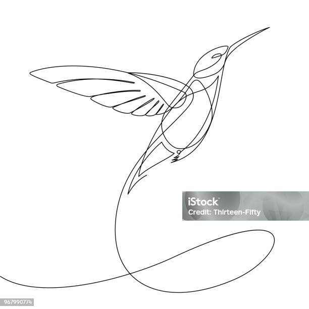Humming Bird Continuous Line Vector Stock Illustration - Download Image Now - Line Art, Hummingbird, Bird
