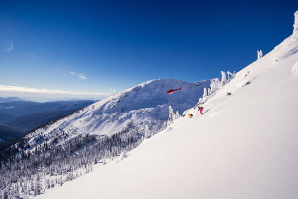 파우다 스키타기  - skiing powder snow canada winter 뉴스 사진 이미지