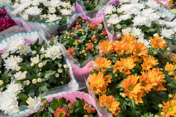 bouquet of flowers.