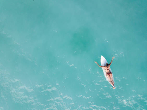 istock Surfer paddling in warm Indian ocean 968009410
