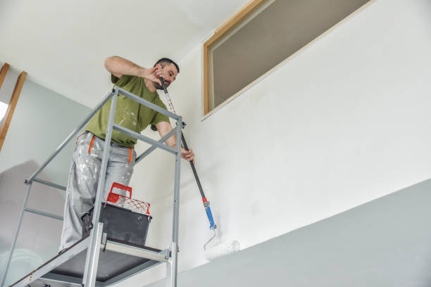 Profesional painter painting with paint roller. Profesional painter painting with paint roller.
Decorator at work painting a wall. house painter stock pictures, royalty-free photos & images