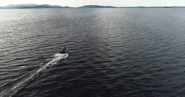 istock Tourist Driving and Maneuvering on Inflatable Boat 968014392