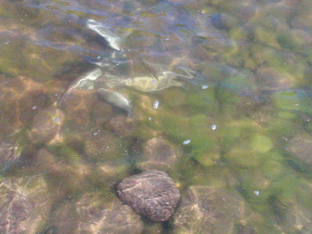 istock Good fishing day 968014764