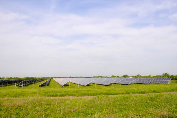 istock Solar panels in the power plant for renewable energy,. 968014792