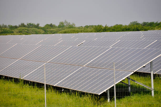 istock Solar panels in the power plant for renewable energy. 968014806