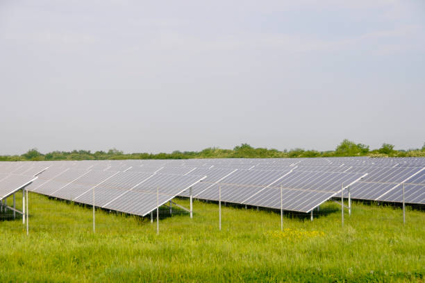 istock Solar panels in the power plant for renewable energy. 968014824