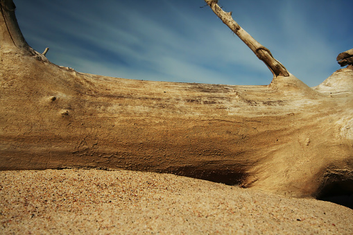 Dried up by the sun, thrown by the river old tree trunk lying on the sand and at the top blue sky