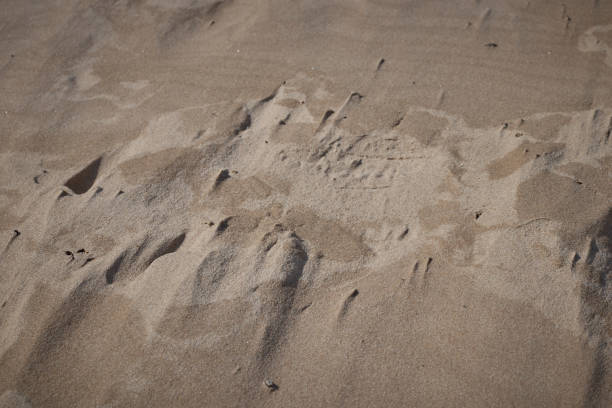 istock Closeup of sand pattern of a beach . 968019586