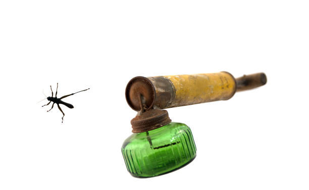 istock Sprayer and insect isolated on white    copy space 968025530