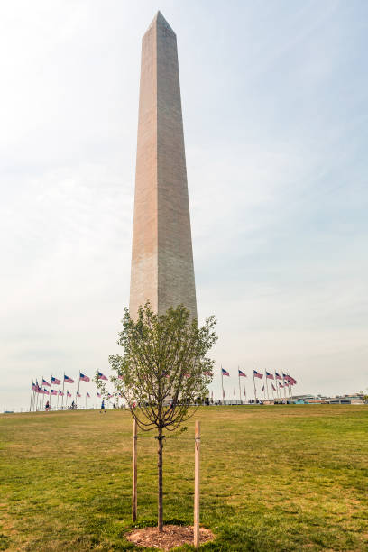 istock obelisk and american flag at washington 968025748
