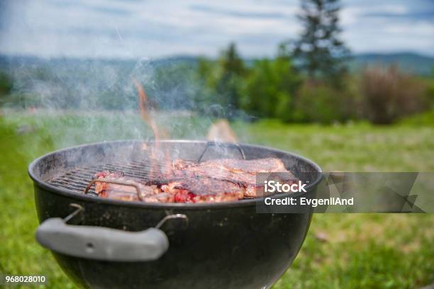 Grilled Meat Outside Stock Photo - Download Image Now - Barbecue Grill, Grilled, Barbecue - Meal