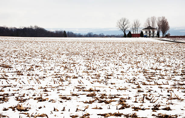 istock Snow-covered field with large house 96803060