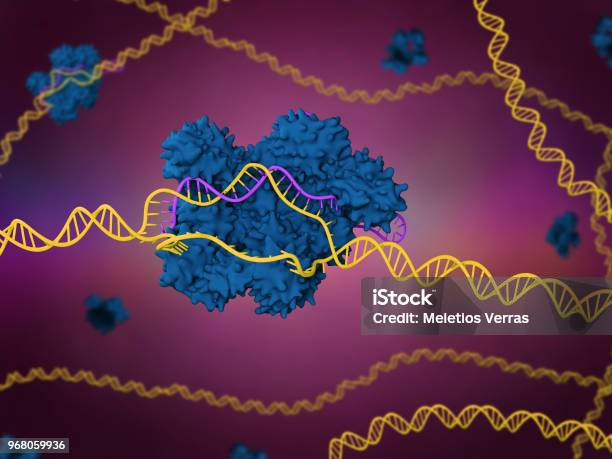 Crisprcas9 Stock Photo - Download Image Now - CRISPR, Cas9, Gene Therapy