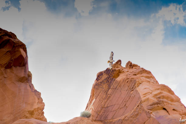 istock Hawk Flying in Gold Butte Nevada 968067944