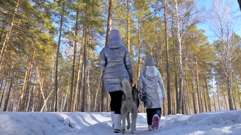 Beautiful woman and small child walking in winter forest with of husky dog. Happy young mother with daughter in the winter park with huskies dog. Siberian husky dog in snow forest.