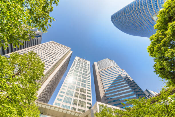 istock Fresh green and skyscrapers 968083702