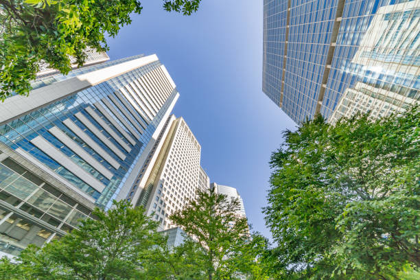 istock Fresh green and skyscrapers 968083812