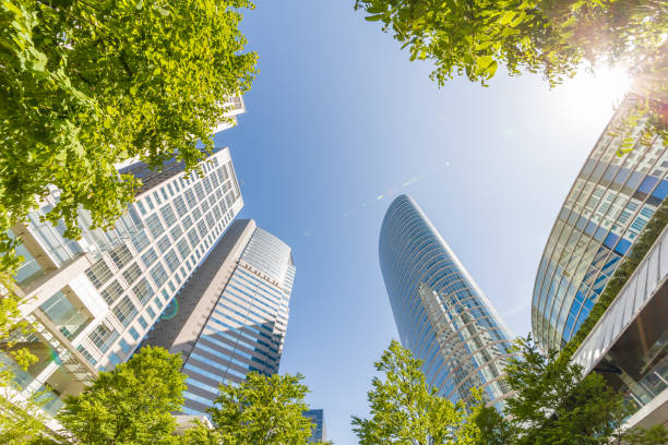 istock Fresh green and skyscrapers 968083874