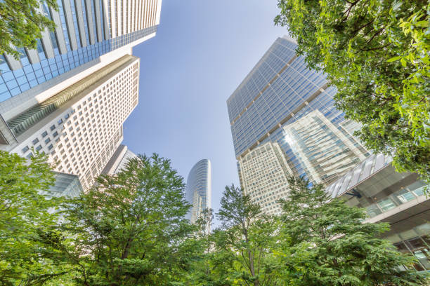 istock Fresh green and skyscrapers 968083912
