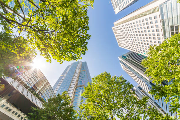 istock Fresh green and skyscrapers 968083922