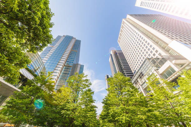istock Fresh green and skyscrapers 968083930