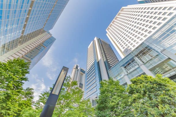 istock Fresh green and skyscrapers 968083940