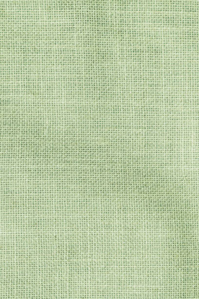 istock Hessian sackcloth woven texture pattern background in light pale green earth color 968084070